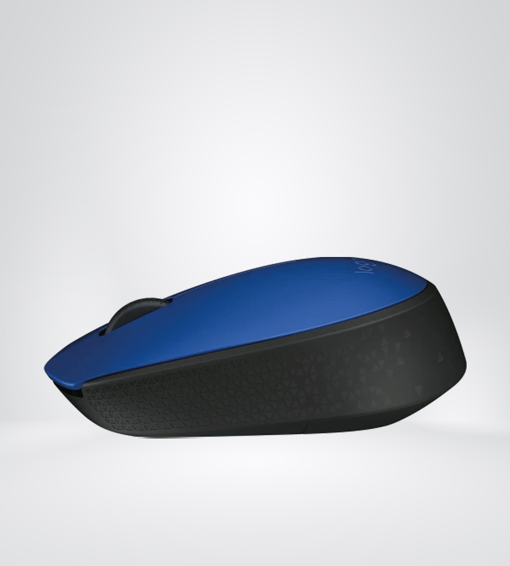 LOGITECH M170b